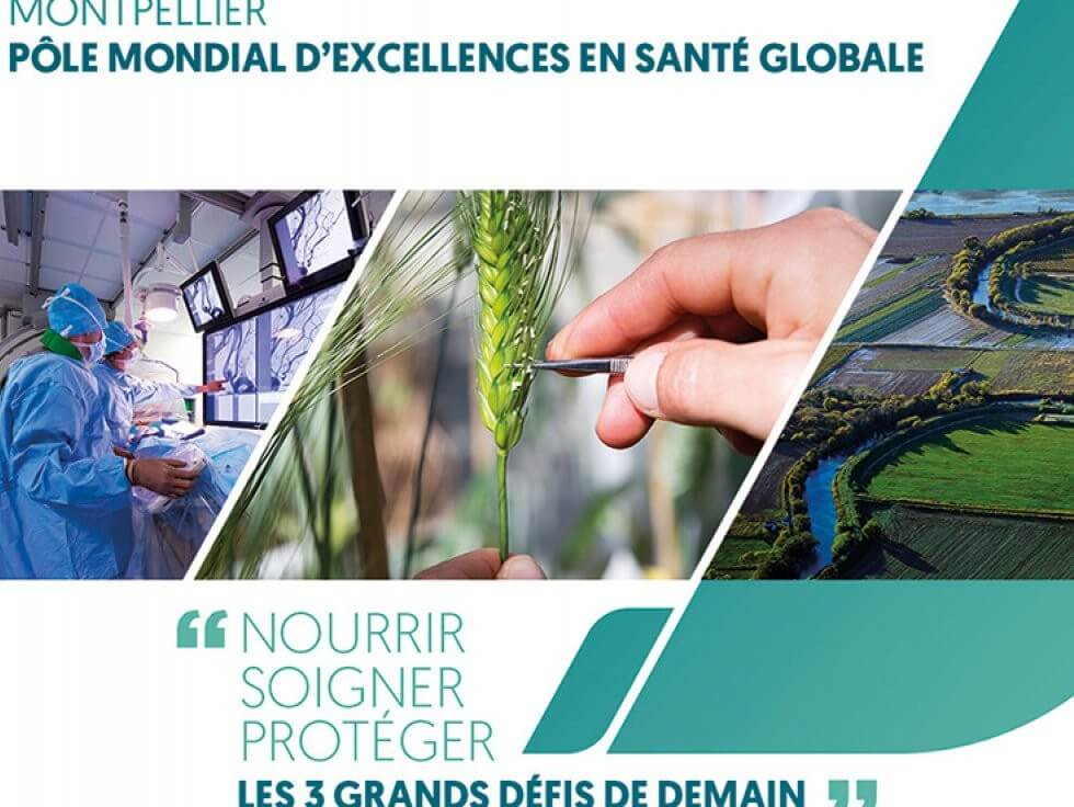 Participation in the Medvallée conference, a global center of excellence in global health